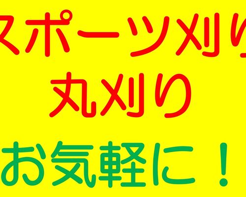 スポーツ刈り - コピー_page-0001